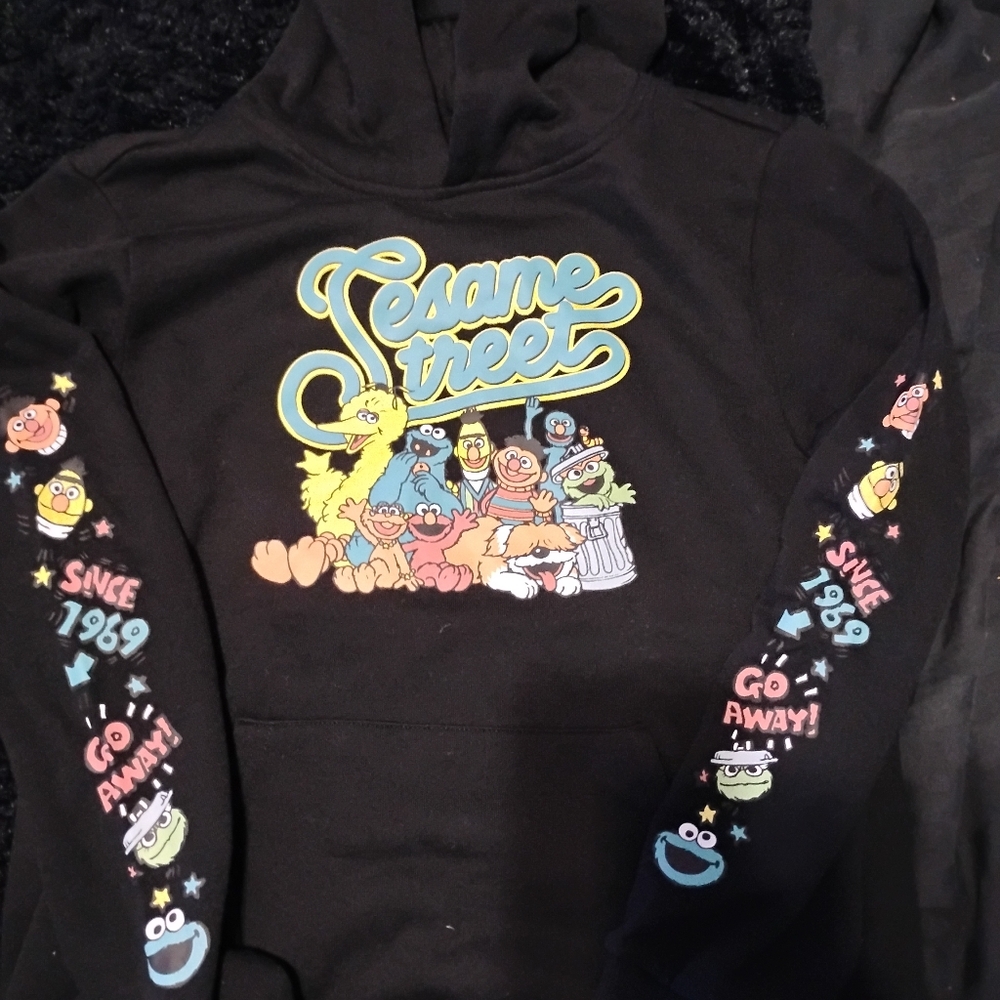 Sesame Street Graphic Hoodie